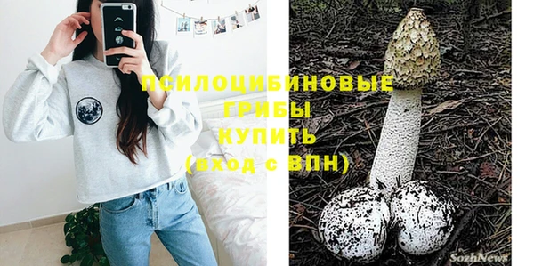 бошки Алексин