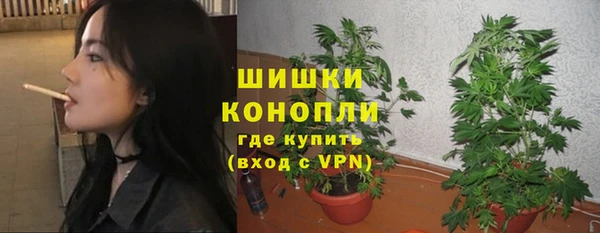 ешки Алзамай