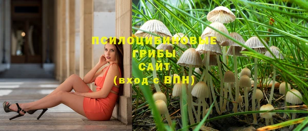 бошки Алексин