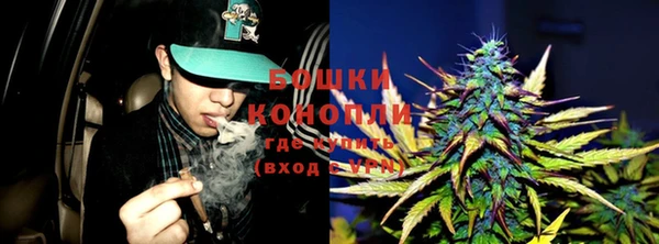 бошки Алексин