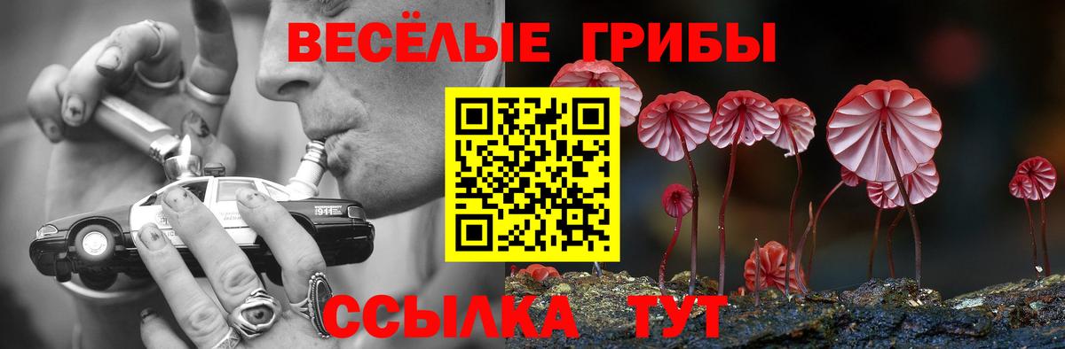 Псилоцибиновые грибы GOLDEN TEACHER Туймазы