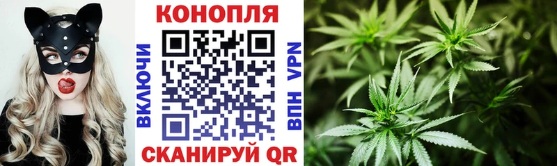 Марихуана планчик  где купить наркоту  Туймазы 